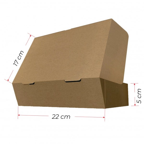 Custom Kraft Takeaway Box – 22x17x5 cm